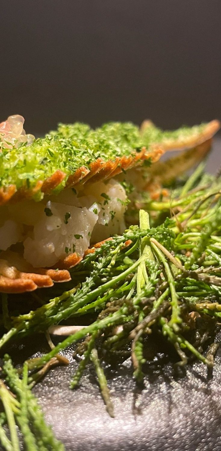 Een amuse met een witte vulling en kruiden, op een donkere ondergrond.